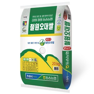 밥선생 동송농협 철원오대쌀 20kg, 상등급, 1개