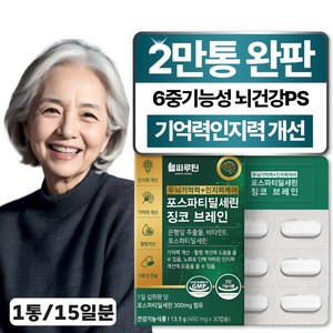 헬씨루틴 두뇌 기억력 인지력 케어 포스파티딜세린 징코 브레인, 1개, 30정