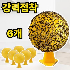 라워스 강력접착 초파리 트랩 끈끈이, 6개, 35g