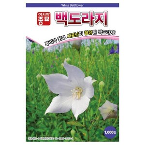 백도라지씨앗종자 백도라지(1000립) S2546, 1개