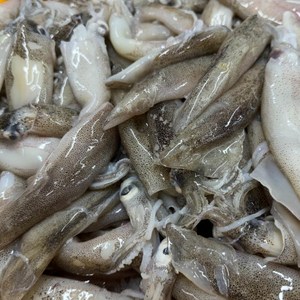 자연산 생물 급냉 총알한치 500g(17미 내외) 내장 통찜, 1개, 총알한치 2kg(500g*4팩)