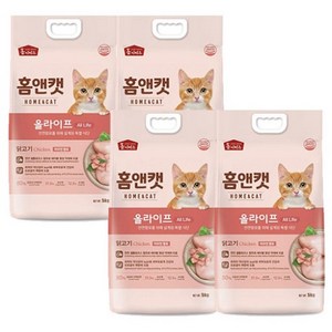 [홈캣] 전연령 5kg, 1개, 단품