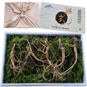 국산 강원도 정삼 특상품 13~17년근 산삼 장뇌삼, 1개, 15년근 5뿌리