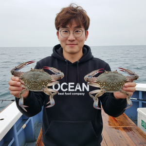 삼시세끼연구소 오직 연평도 2025년 봄꽃게 활 암꽃게 알배기 생물 활 꽃게 급냉, 1세트, 3kg