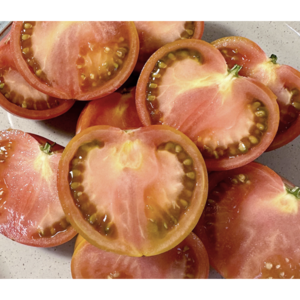 [백화점납품] 프리미엄 단짠단짠 짭짤이 대저토마토, 1세트, 일반 2.5kg (L)