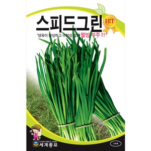 스피드그린 부추 씨앗 채소 야채 종자 allium 2000알, 1개