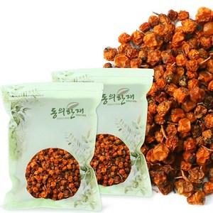 동의한재 자연산 중국산 마가목 열매, 500g, 2개