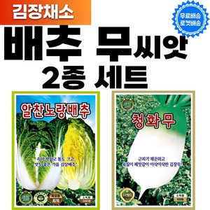 김장 채소 배추 무 씨앗 2종 세트 배추 씨앗 무 씨앗, 1세트