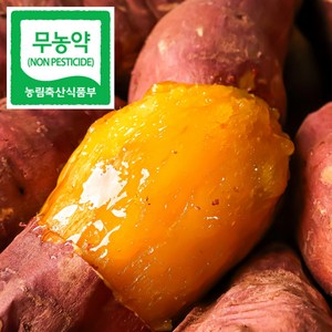 제철에 진심 해남 호박고구마 호풍미, 1박스, 특상로얄(140-300g) 5kg