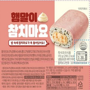 찬푸드 냉동사각김밥 3종(햄참치마요 햄참치김치 햄말이참치마요), 햄말이참치마요5+햄김치참치5, 10개