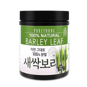 퓨어영 국산 새싹보리 분말 가루, 200g, 1개