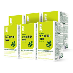 뉴트리원 프리미엄 인도산 보스웰리아 추출물 보스웰릭산65% 초록입홍합 상어연골 해조칼슘 글루코사민 울금추출분말 비타민D, 90정, 6박스