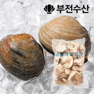 부전수산 냉동 손질 신선한 개조개살 (대합살) 1kg 개조개 대합조개 백합 육수재료 해장국재료 개조개미역국 조개탕 조개구이, 1개, 800g