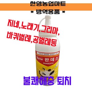 NEW 판데스 지네, 500g, 1개, 1개입