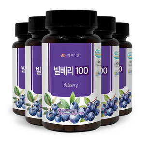 빌베리100 정 500mg x 100정 HACCP 인증제품, 50g, 5개