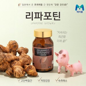 메타웰 리파포틴, 단품, 단품, 1개