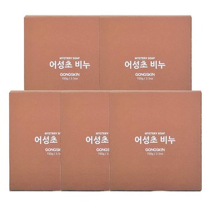 공스킨 어성초 비누, 100g, 5개