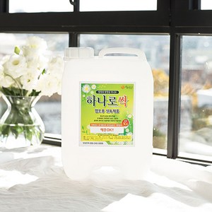 초강력 종합 탈취 방향제 하나로싹 대용량, 1개, 10L, 푸른숲속, 10L