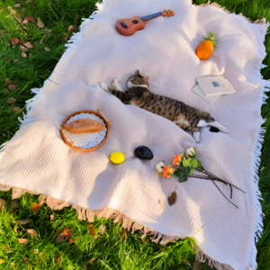 가온루트 블랭킷 카페트 소파 담요 캠핑 러그, 라이트브라운