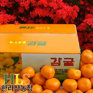 한라산농장 고당도 감귤 5kg 중대과 L~2L, 1박스