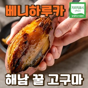 (특상)베니하루카 밤 호박 꿀고구마, 1개, 3kg(중상)