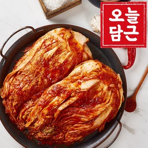 [런칭특가] 오늘담근 국산 배추 포기김치, 5kg, 1개