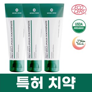 프로메가폴리스 치약 100g 입냄새제거 잇몸건강 구취제거 천연치약, 3개