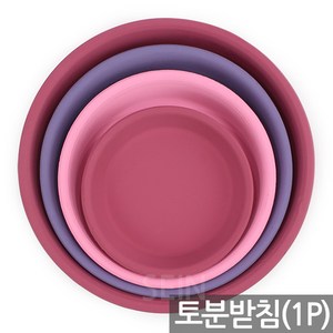 예쁜 칼라 토분 화분 받침(1P) - 화분받침 물받이 다육 다육이 선인장 토기분 인테리어 홈가드닝, 02_Sein_칼라토분_받침10호(퍼플)