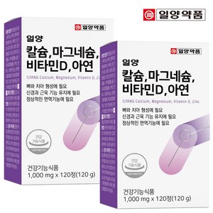 일양약품 칼슘 마그네슘 비타민D 아연 (2박스4개월분), 120정, 2박스