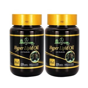 EVERGREEN HYPER LIPID MEGA 9000 에버그린 뉴질랜드 하이퍼 리피드 초록입홍합 9000mg 180캡슐 2팩, 2개, 180정