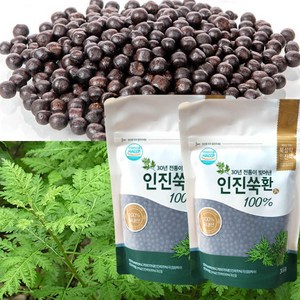 북설악 고농축 인진쑥환 (300g) 인진쑥농축액70%, 2개, 300g