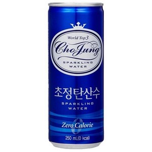 초정탄산수, 250ml, 60개