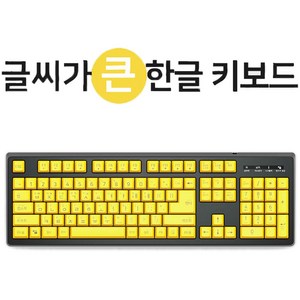 마이크로닉스 큰글씨 한글 유선 일반형 키보드 + 키스킨 세트, Black, CPK-1