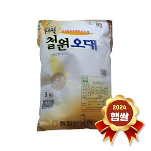 두루웰 철원오대쌀 5kg 2024년 햅쌀 상등급 오대미 백미 국내산, 1개