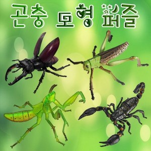 과학곤충 모형 퍼즐-사슴벌레-ZHB과학교구.과학키트.실험실습