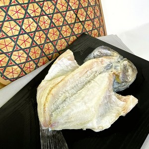 흑산도 자연산 특대 반건조 우럭, 550~600g 미만, 1개