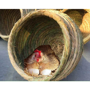 닭산란장 닭집 이동식닭장 만들기 닭둥지 닭산란통