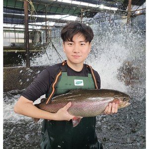 1급수에서 자라는 이화정 송어, 송어회 세트 400g(가시제거 됨), 1개