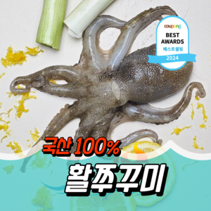 [산지직송]동해바람 자연산 활 쭈꾸미 특품 1kg, 1개, 국산 조업 활 쭈꾸미 1kg