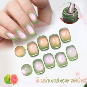 [AS젤] 자석젤네일 구아바젤 무화과젤, 2개, 구아바/무화과 자석젤