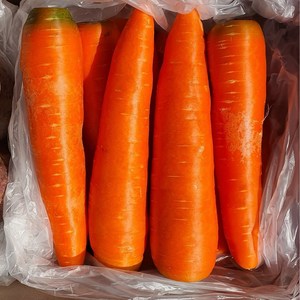 자주 찾는 필수 야채 세척당근 carrot 직접선별 이중 박스포장, 3kg (개당300g내외), 1개