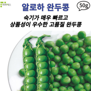 다수확 조생 완두콩 씨앗 알로하 피피에스, 2개