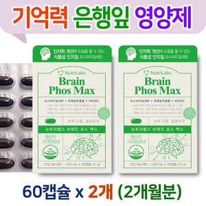 브레인 포스 맥스 포스타딜세린 집중력 은행잎 영양제 중학생 고등학생 고3 수험생 공부 학습 도움 뇌 기억력 인지력 개선 식물성 인지질 혈행 순환 향상 항산화 세포 보호 기능