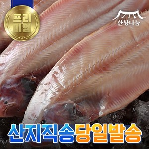 [특가할인] 군산 박대 서대 구이용 조림용 해풍건조 명품 제수용 말린 반건조생선, 박대 37cm 내외 8마리, 8마리