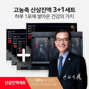 [천삼정 산삼비책] 고농축 산삼진액 스틱 / 하루 1포 고함량 진세노사이드 세트 식약처 인정원료 사용, 4박스, 600ml