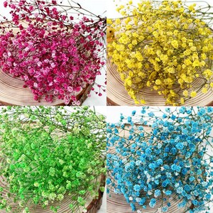 프리저브드 안개꽃 드라이플라워, B.안개꽃종류, B1.안개꽃 화이트