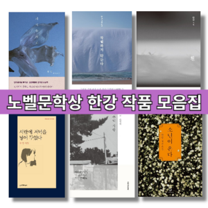 한강 소설 전편 모음 내이름은 태양꽃 천둥꼬마선녀 번개꼬마선녀 바람이분다 가라 [선택/튠튠포장], 눈물상자
