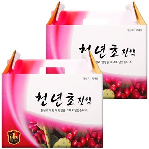 건강중심 국산 천년초 즙 진액, 120개, 100ml