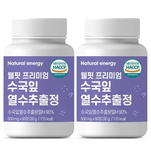 내추럴에너지 웰핏 프리미엄 수국잎 열수 추출물 정 600mg, 60정, 2개, 60정