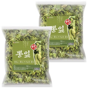 건강중심 국산 뽕잎 뽕나무잎, 400g, 2개